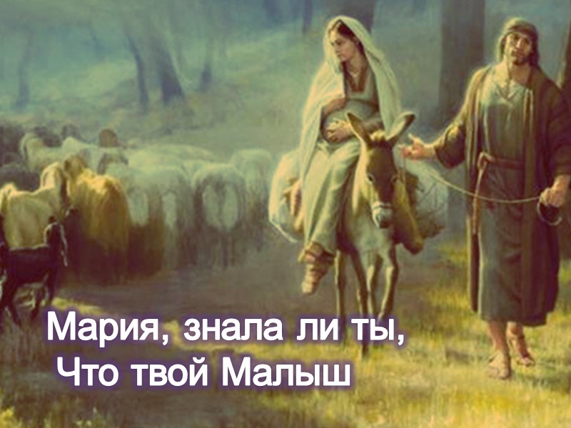 Мария, знала ли ты,  Что твой Малыш